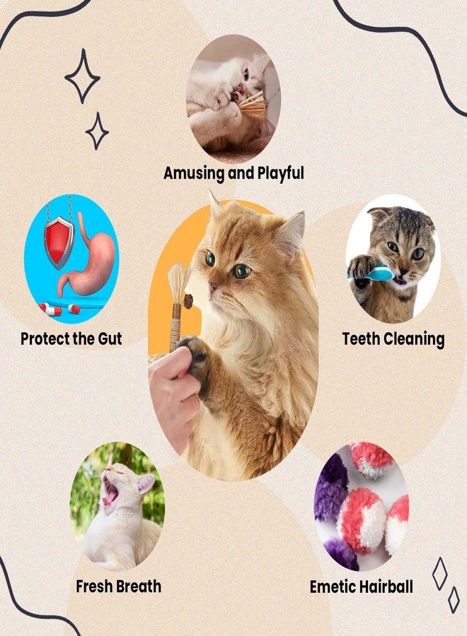 Homeaura Silvervine Cat Toy - 1 Pack, Natural Matatabi Sticks for Indoor Cats, Kitten Chew Toys, Aggressive Chewers, Dental Toy for Kitten Teeth Cleaning - Image 3